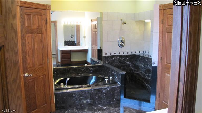 1069 Martin Road Mogadore, OH 44260 - Photo 6 of 20 MASTER BATH JACUZZI TUB AND SHOWER