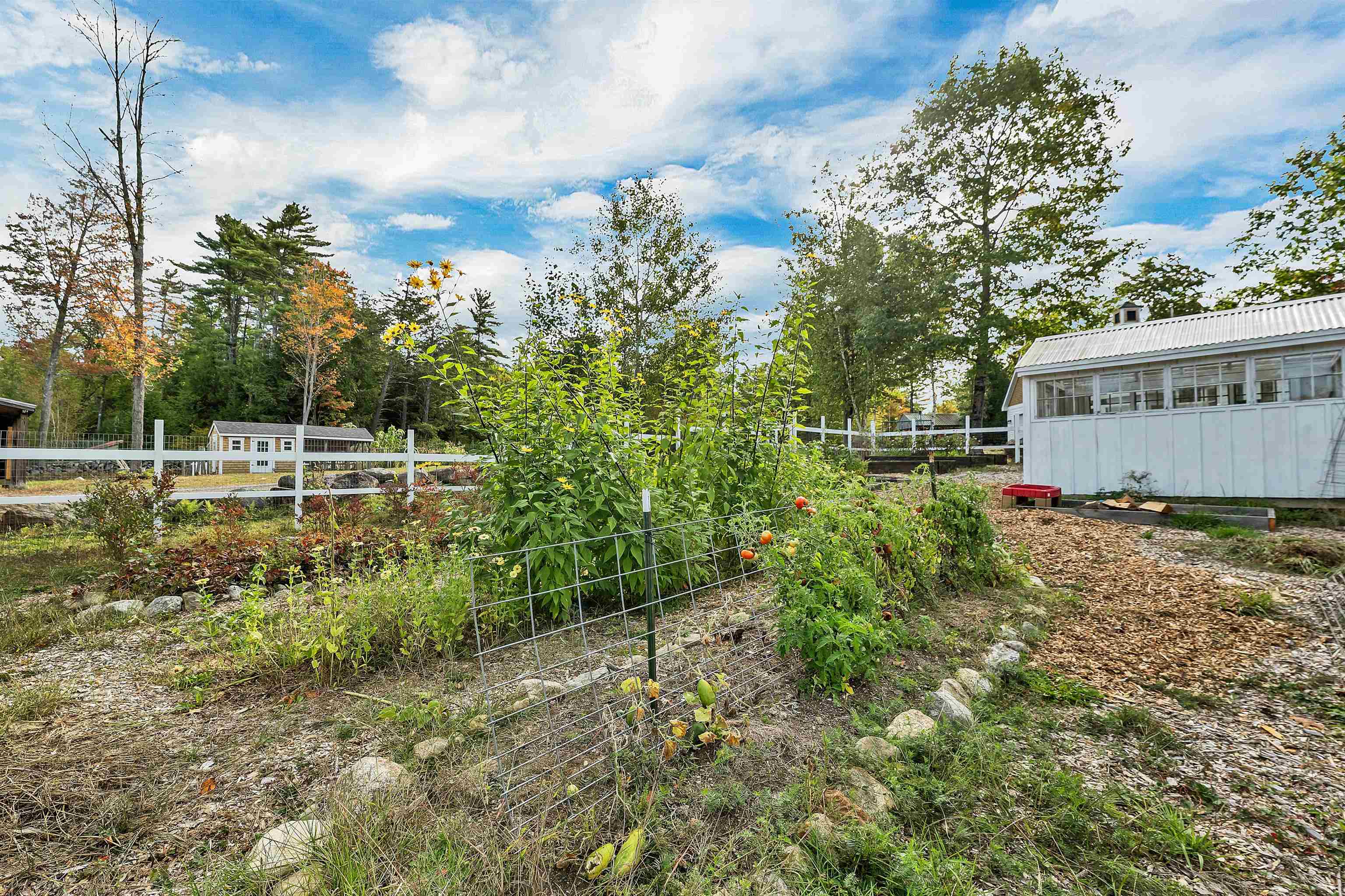 51 Federal Corner Road Tuftonboro, NH 03816 - Photo 20 of 58