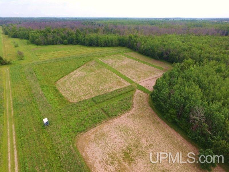 5418 Ll Road Garden, MI 49835 - Photo 12 of 36