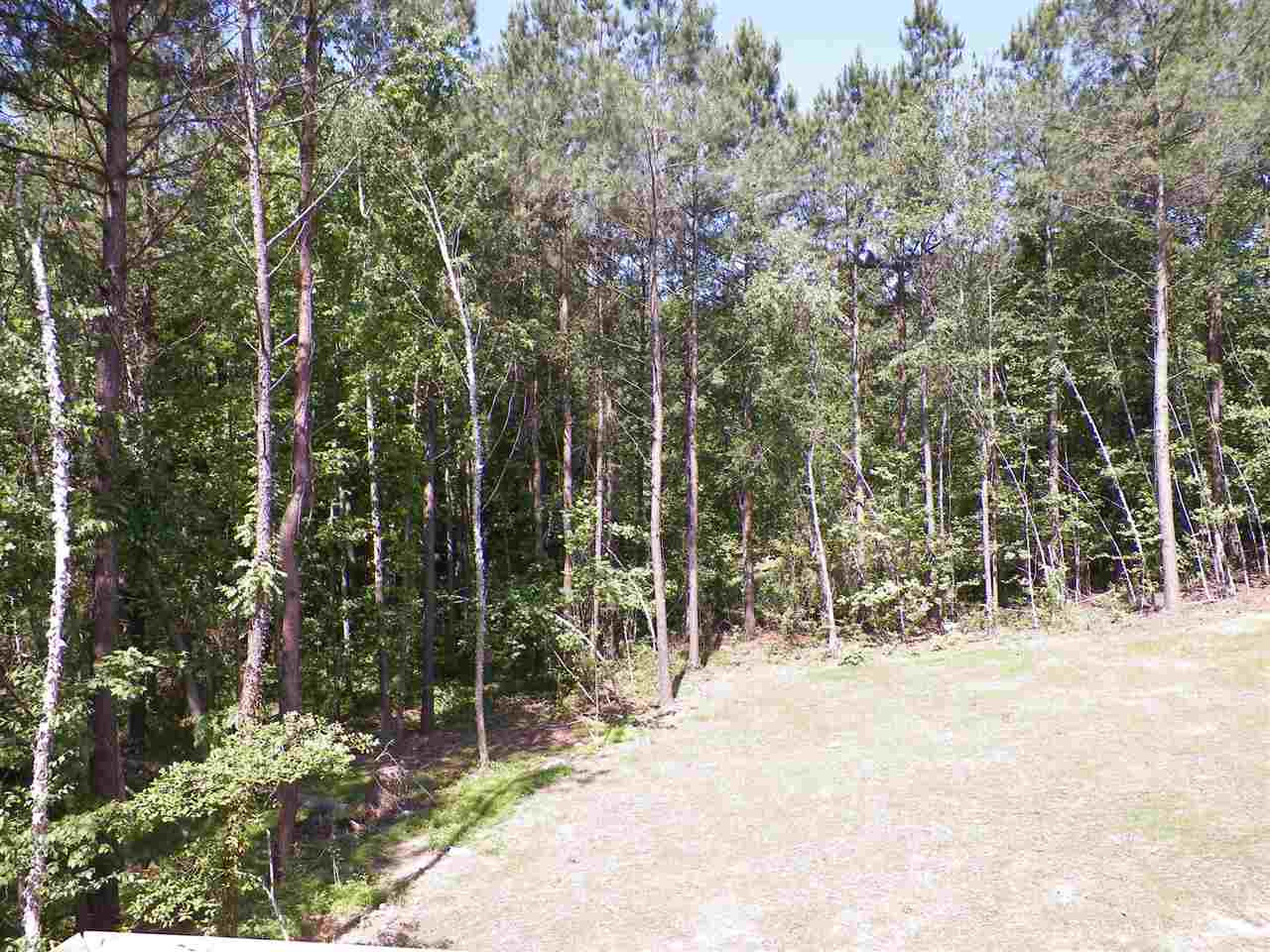 6124 Spring Branch Circle, Unit LOT 28 Raleigh, NC 27603 - Photo 20 of 21 Backyard