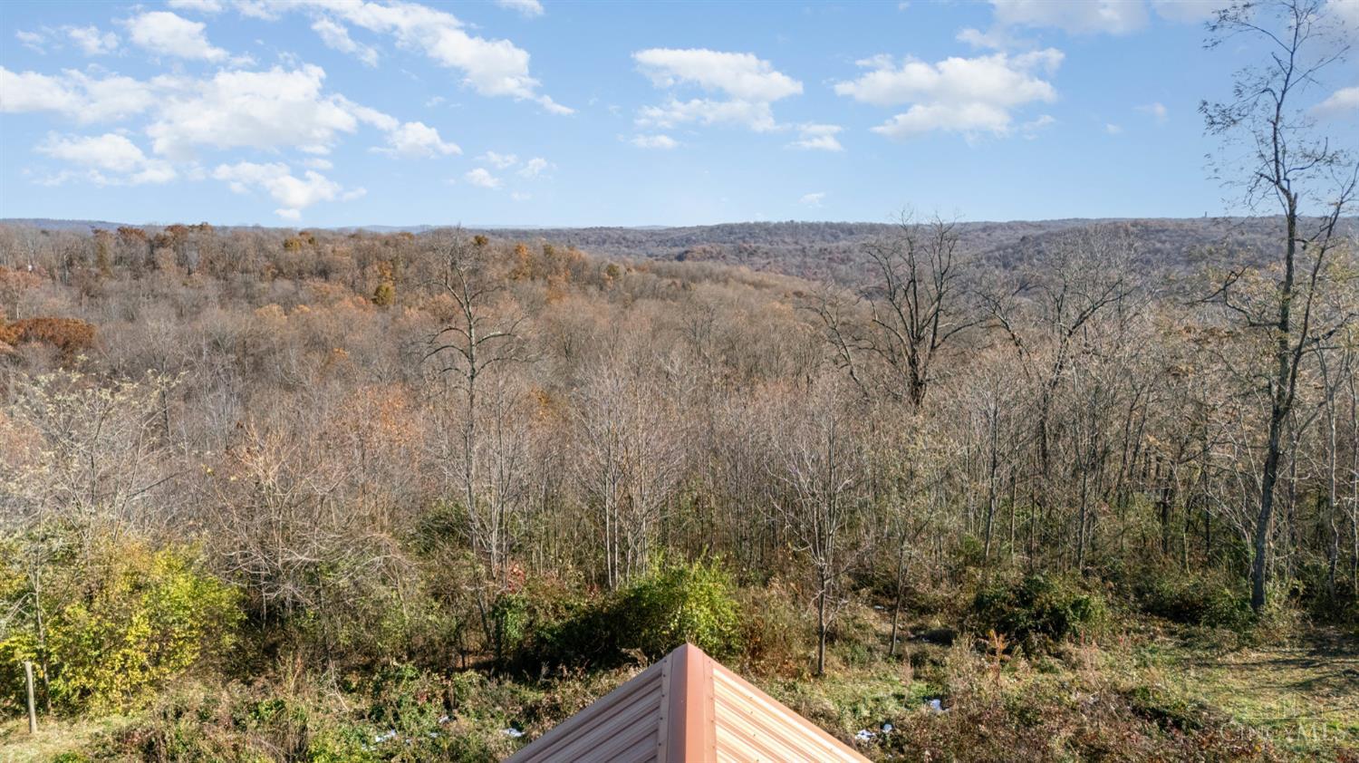 4790 Jester Hill Road Bainbridge, OH 45612 - Photo 29 of 41
