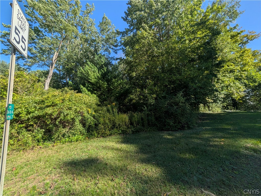 13 East Nys Route Blossvale, NY 13308 - Photo 5 of 13 Gallery Image 5
