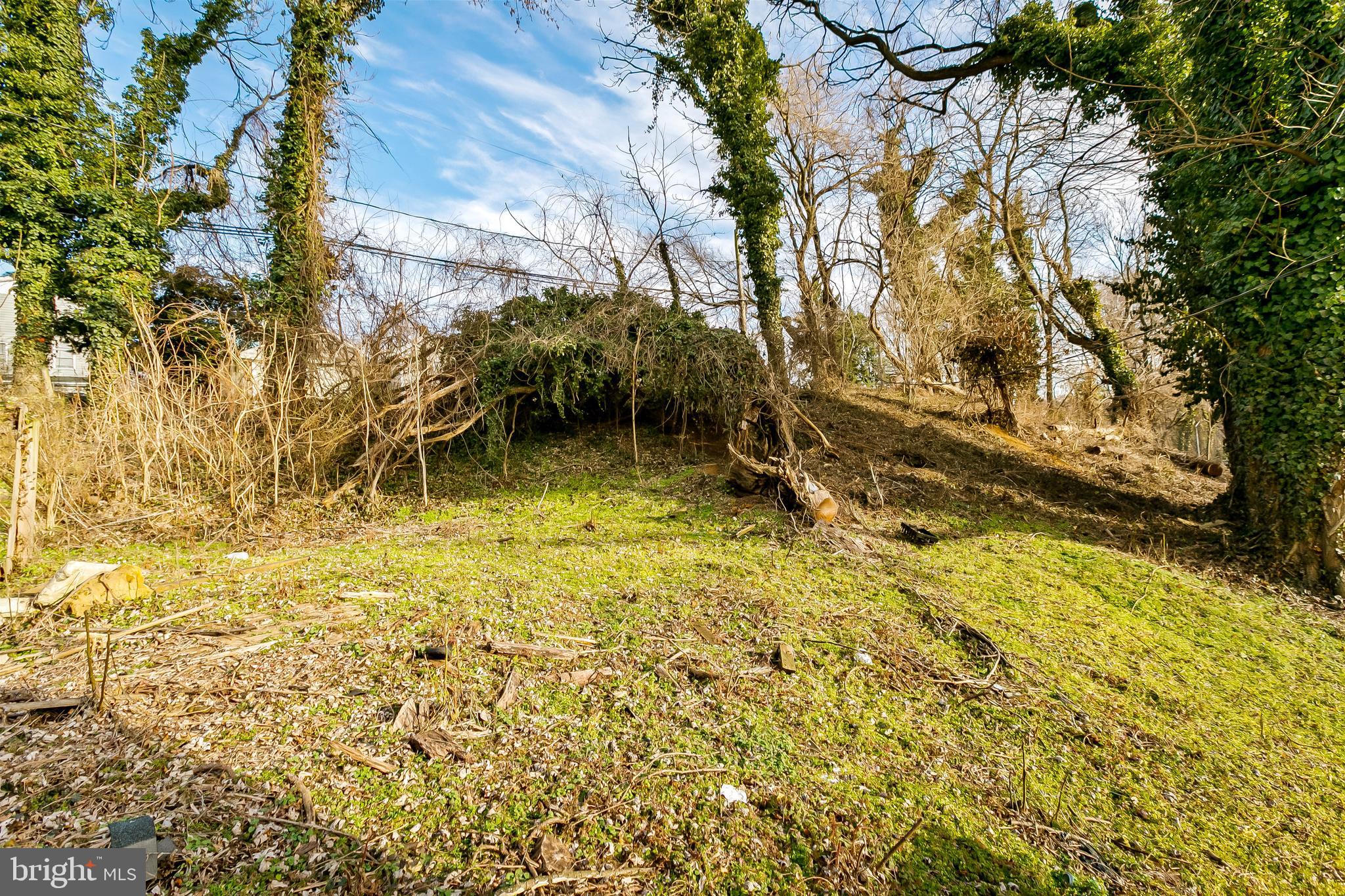 3501 Ash Street Baltimore, MD 21211 - Photo 28 of 29
