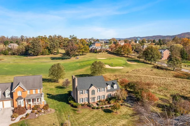 a view of a city and mountains in the background