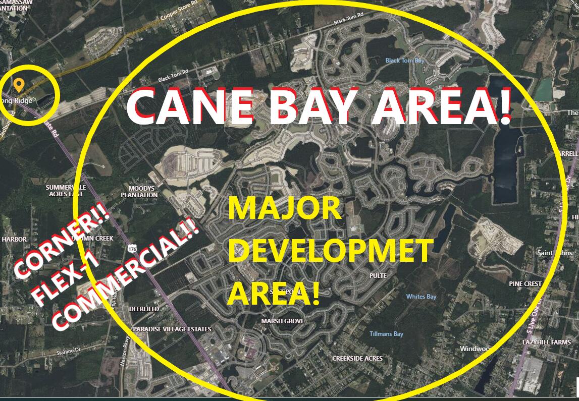 2654 Cooper Store Road Moncks Corner, SC 29461 - Photo 2 of 15 1