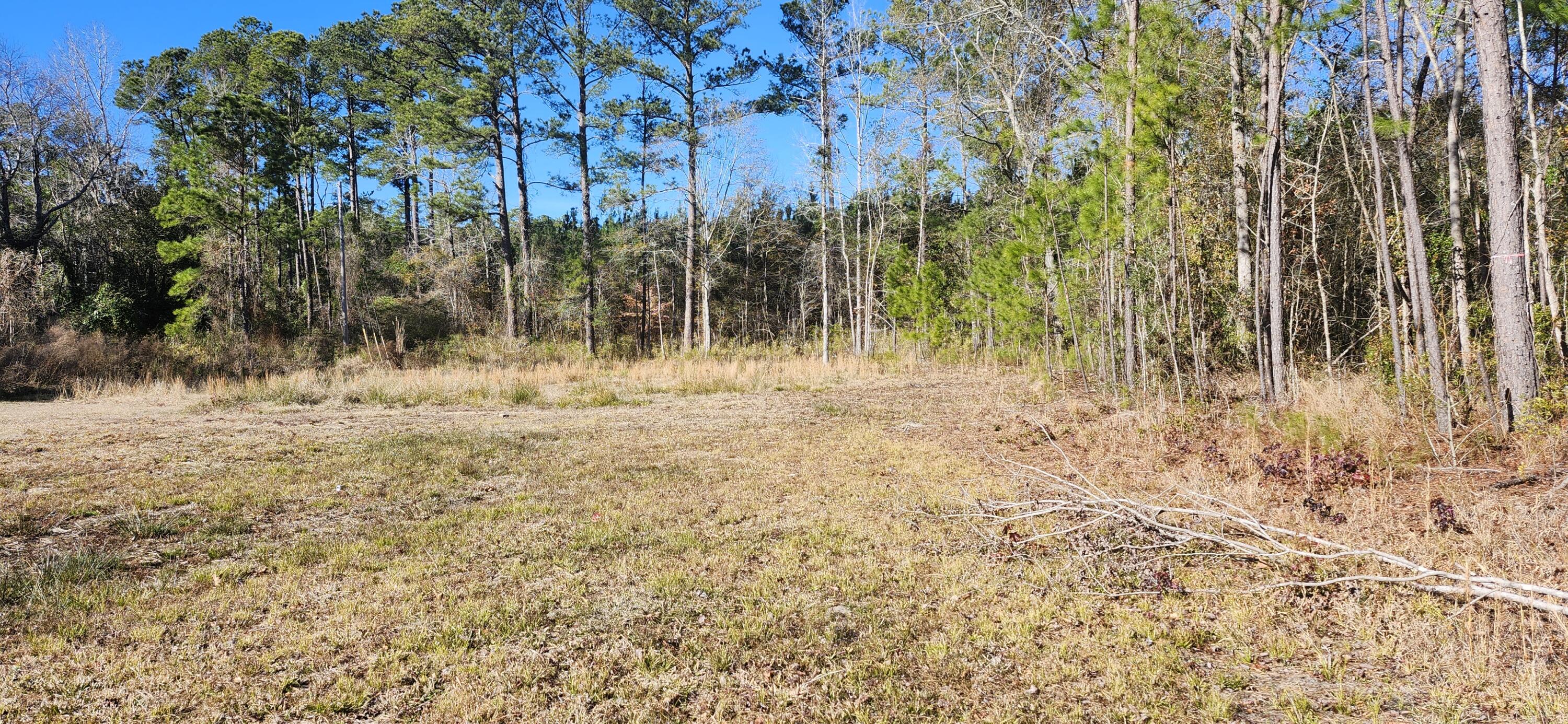 2654 Cooper Store Road Moncks Corner, SC 29461 - Photo 8 of 15 7