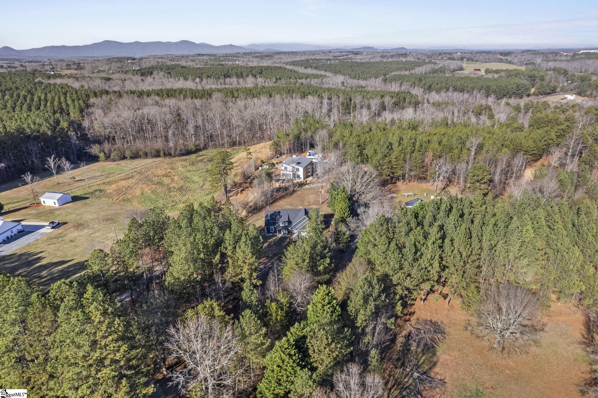 195 Rhonda Road Campobello, SC 29322 - Photo 30 of 32