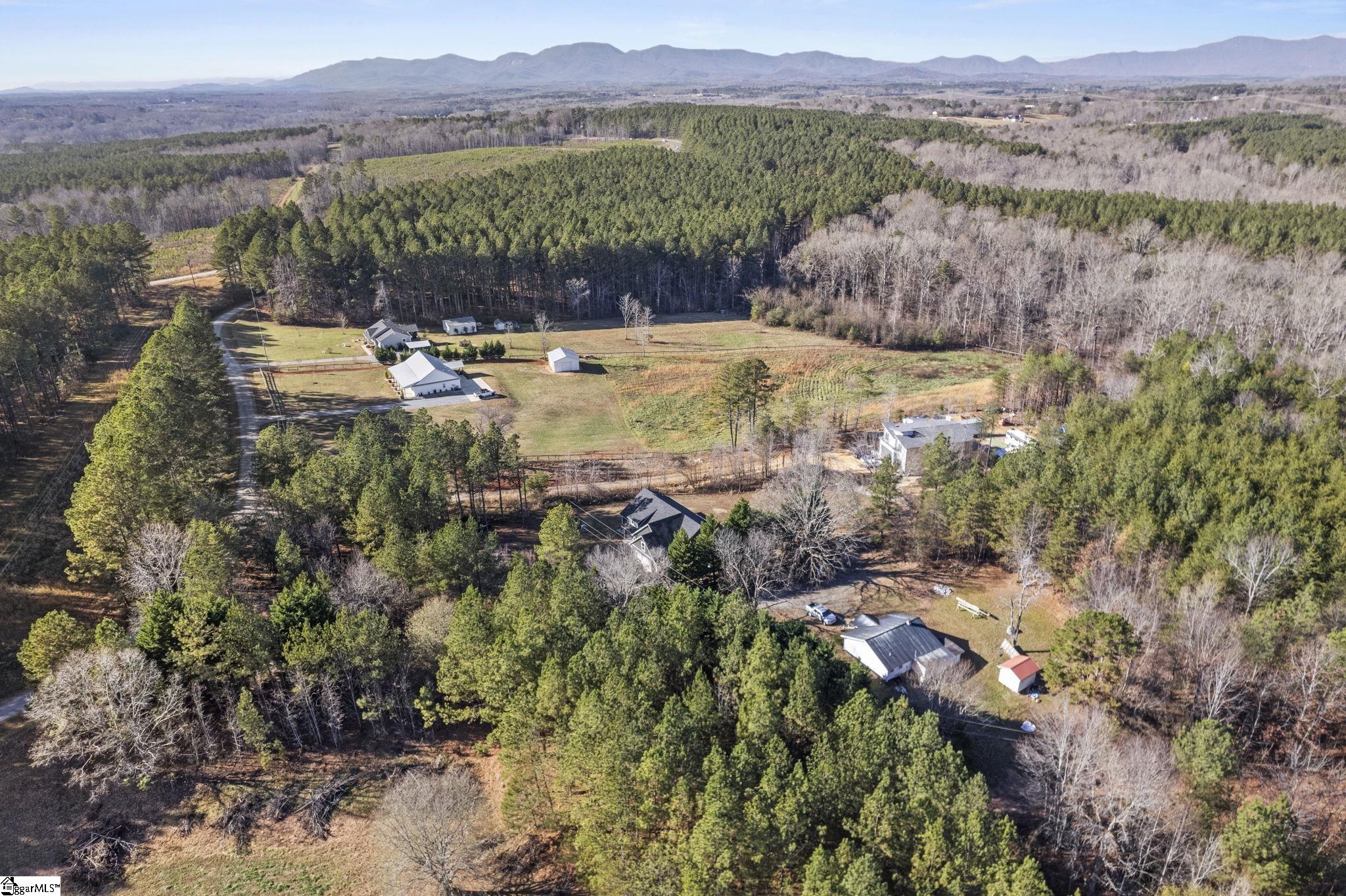 195 Rhonda Road Campobello, SC 29322 - Photo 31 of 32