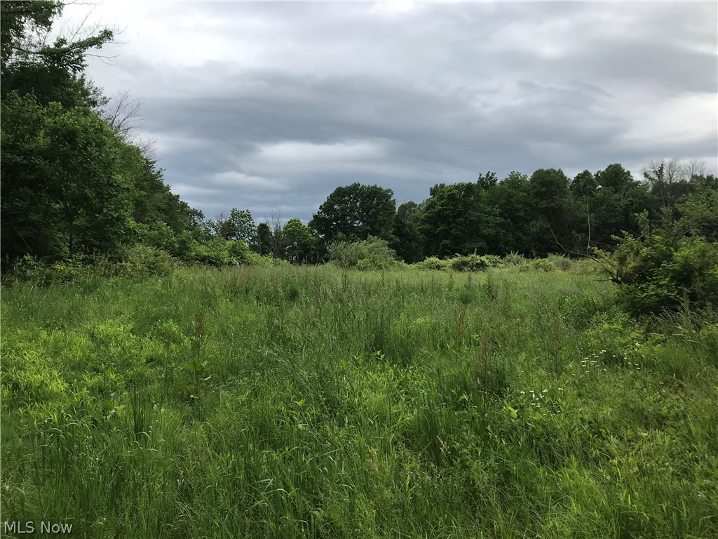 Lexington Springmill Road Mansfield, OH 44904 - Photo 13 of 23