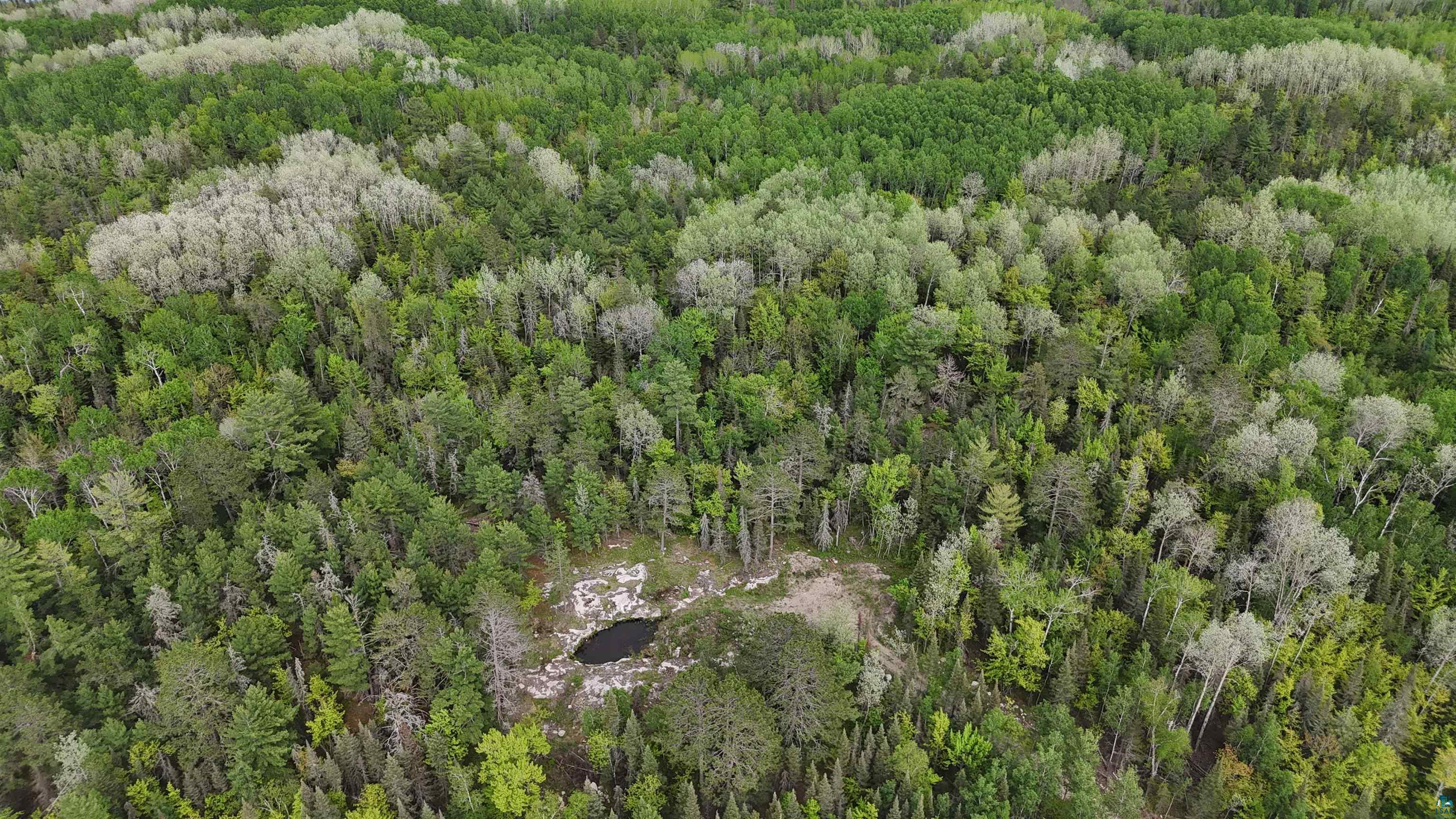 7316 Crane Lake Road Crane Lake, MN 55725 - Photo 13 of 21