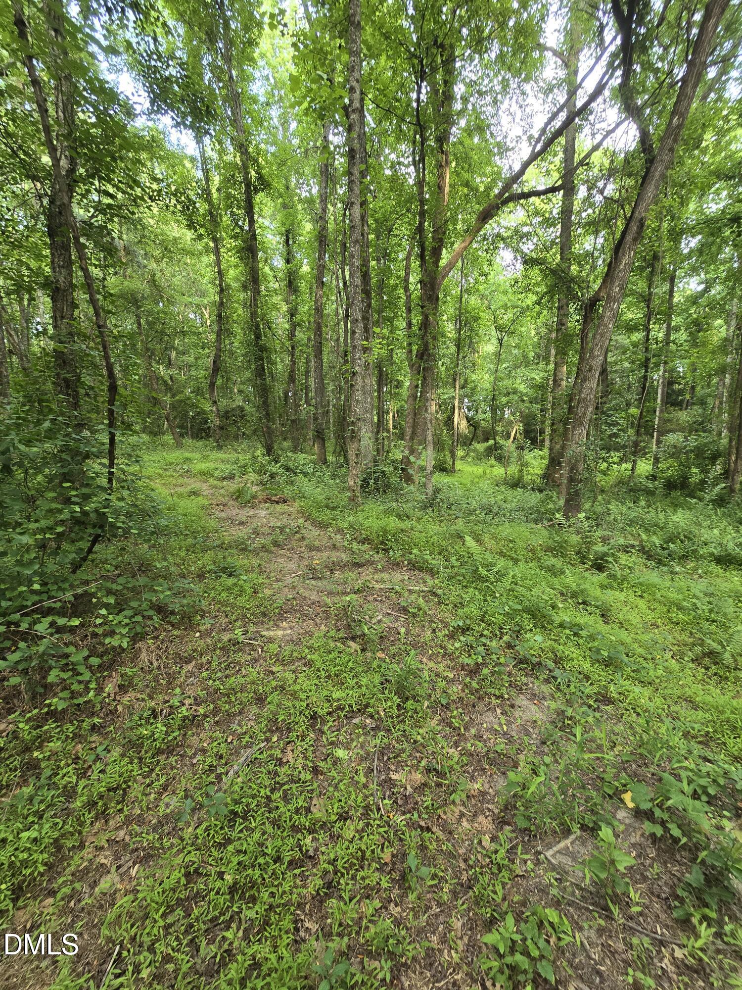 0 Honeycutt Road Willow Spring, NC 27592 - Photo 18 of 18 IMG-20260531-WA0038