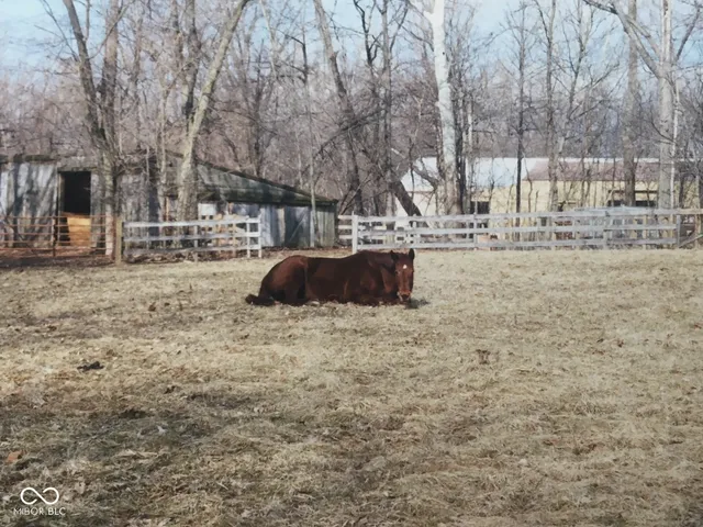 $2,500 | 100 Confidential, Cicero, IN 46034