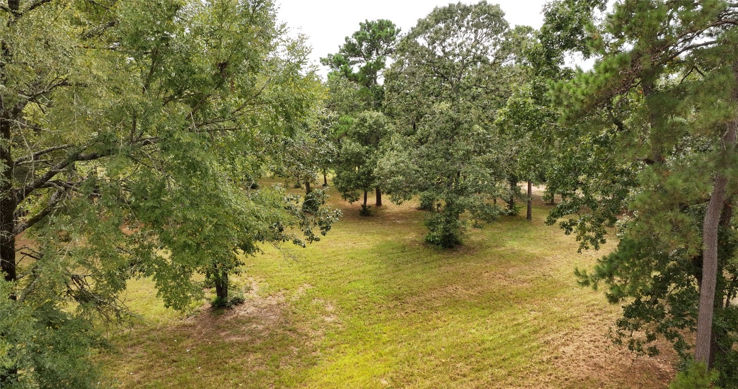 26173 Crown Ranch Boulevard Montgomery, TX 77316 - Photo 4 of 37