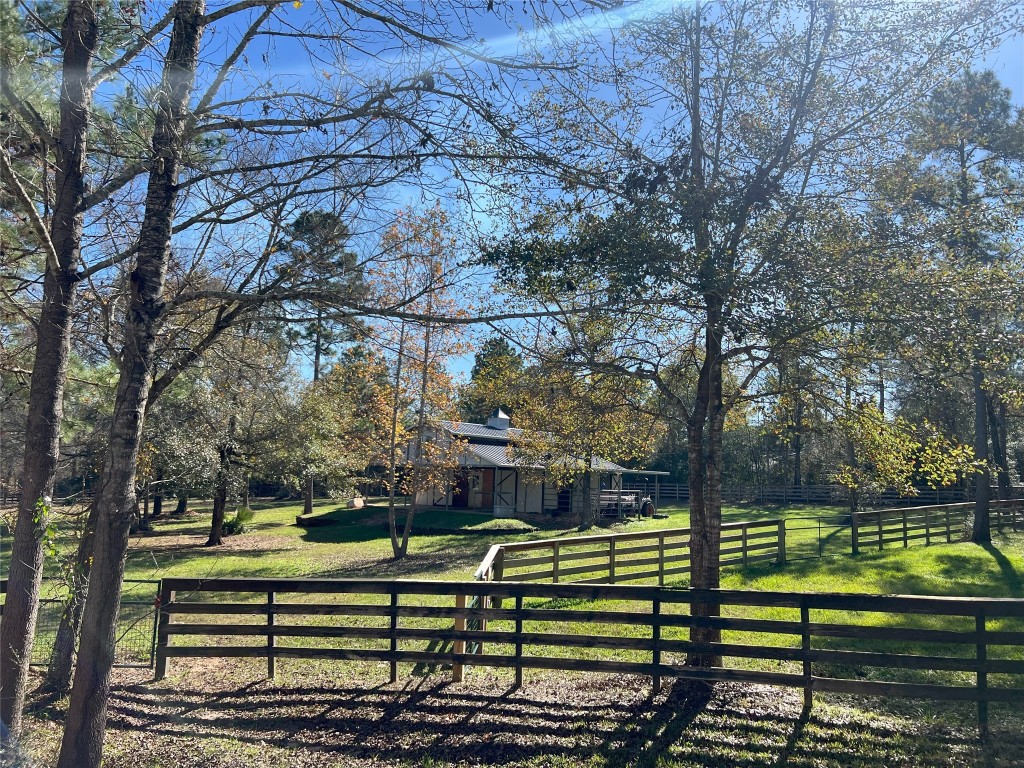 26173 Crown Ranch Boulevard Montgomery, TX 77316 - Photo 6 of 37 a view of a park with large trees