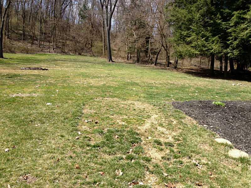 3426 Conway Wallrose Road Economy, PA 15143 - Photo 4 of 16 Yard/Garden. Lovely yard for lots of privacy