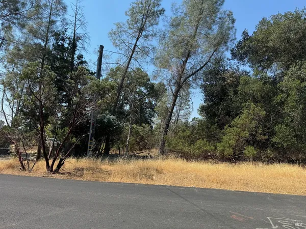 a view of a yard and mountain view