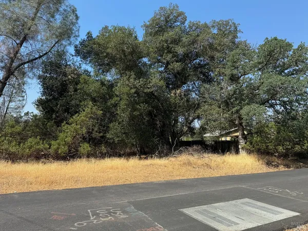 a view of a yard with a tree