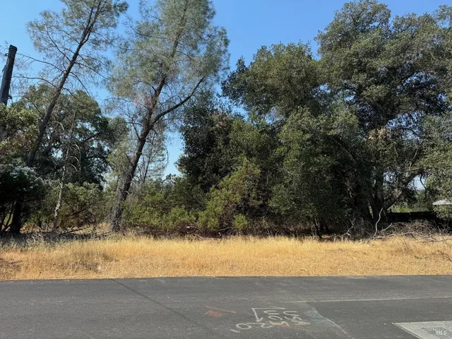 a view of a yard and mountain