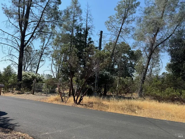 a view of a yard and a house