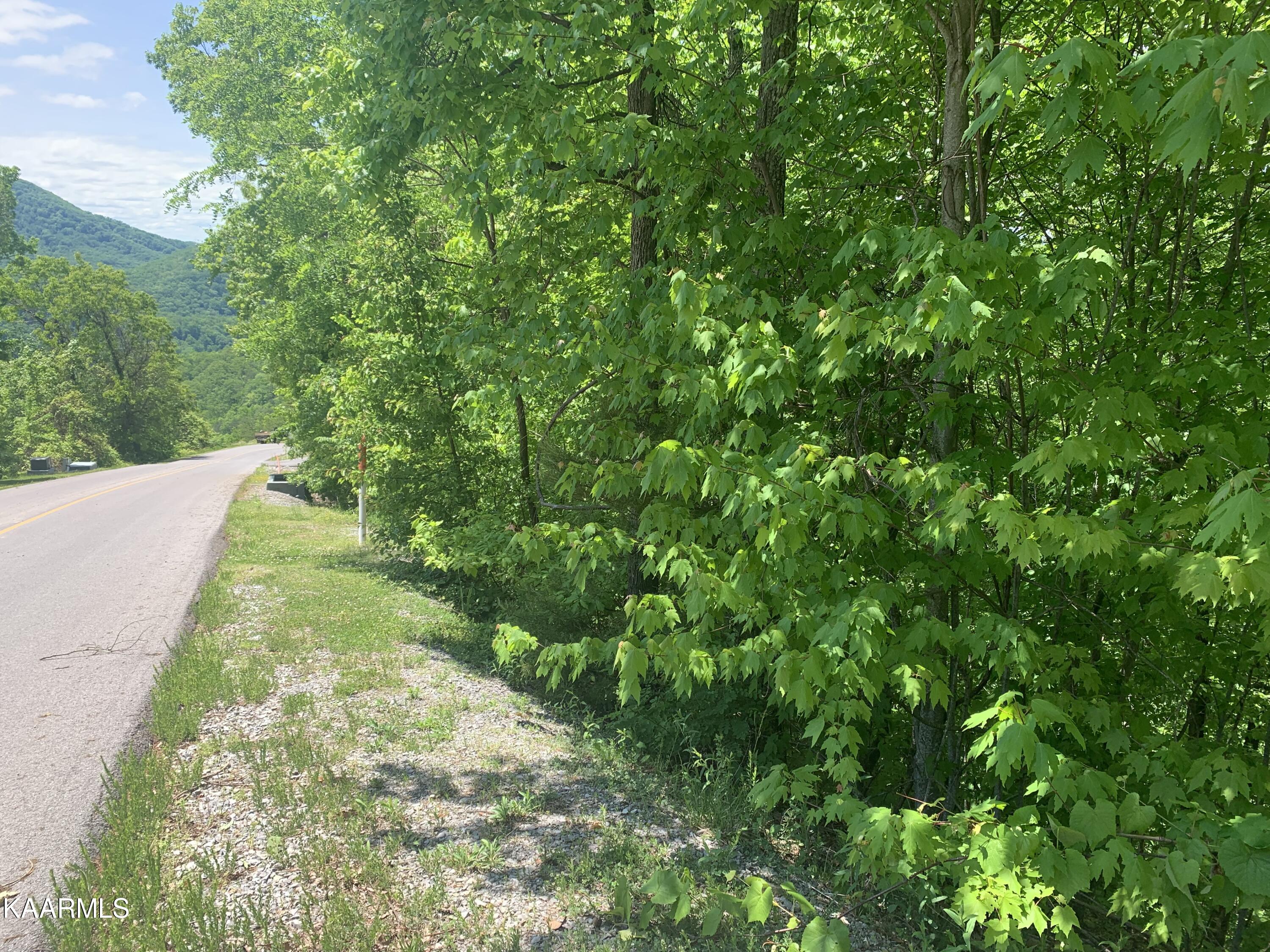 Lot 60 Redtail Road Sevierville, TN 37862 - Photo 3 of 10 IMG-7590