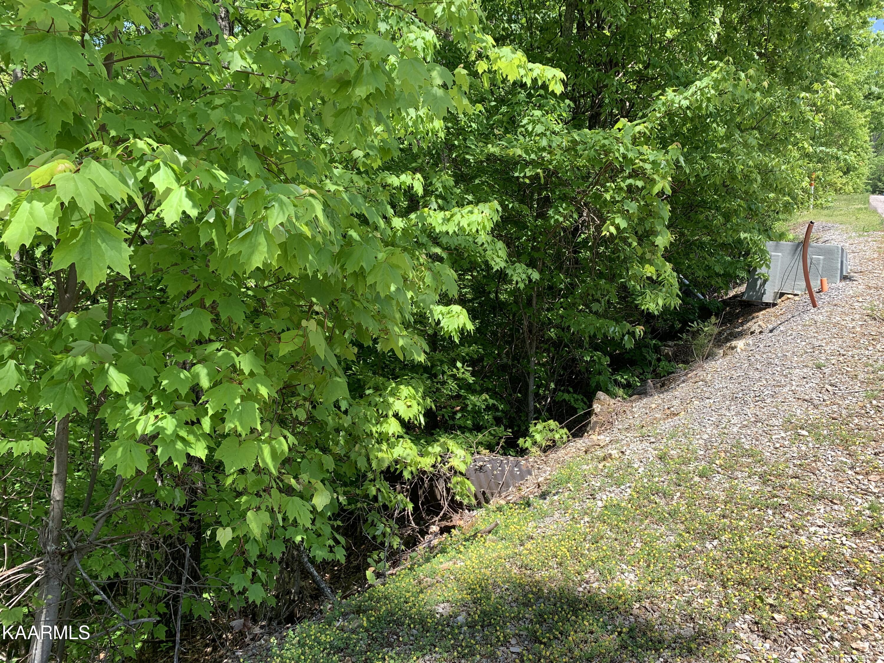 Lot 60 Redtail Road Sevierville, TN 37862 - Photo 6 of 10 IMG-7593