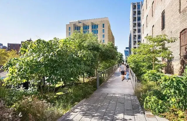 a view of a pathway with potted plants