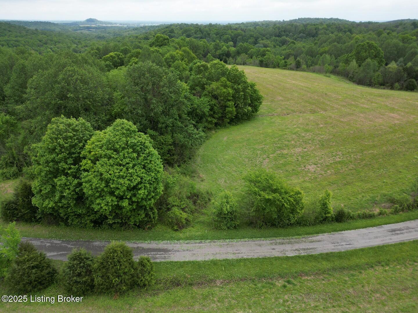 Lot 9 Duvall Road Caneyville, KY 42721 - Photo 1 of 4 L9-1