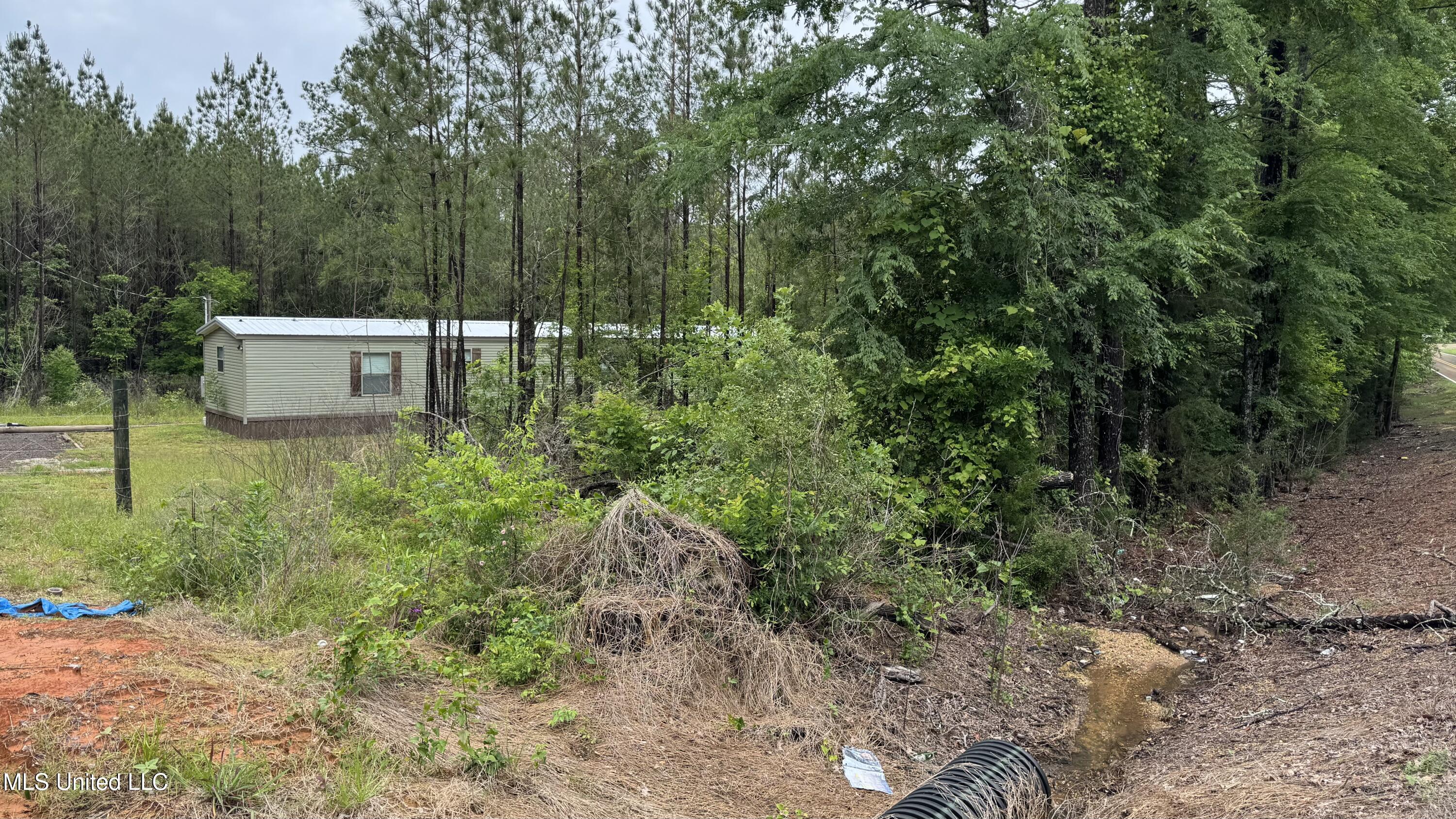 10501 Highway 501 Forest, MS 39074 - Photo 2 of 27 IMG_2767