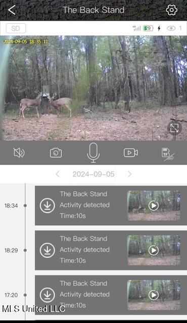 10501 Highway 501 Forest, MS 39074 - Photo 21 of 27 image6