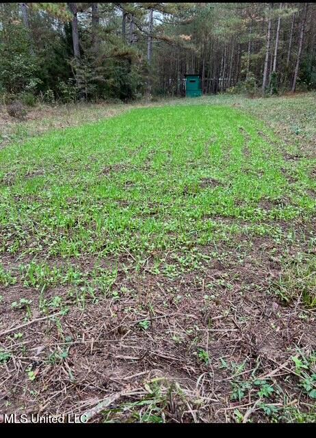 10501 Highway 501 Forest, MS 39074 - Photo 23 of 27 image4 (1)