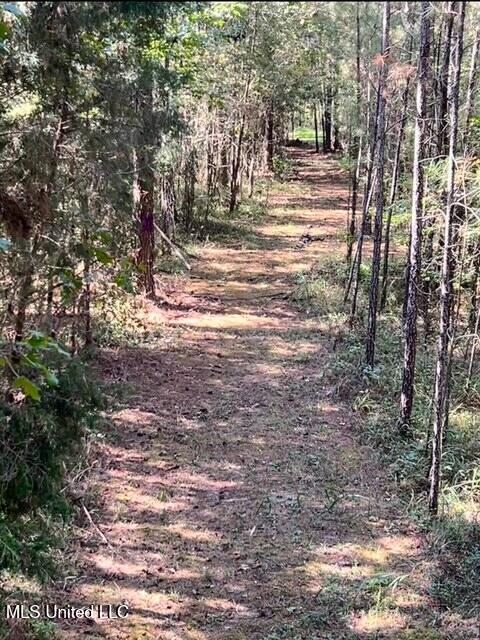 10501 Highway 501 Forest, MS 39074 - Photo 27 of 27 image0 (3)