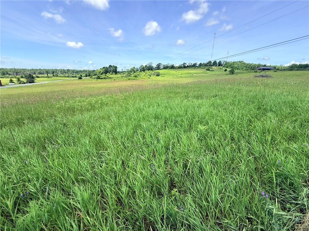 L17 North Pond Road Guilford, NY 13780 - Photo 9 of 19