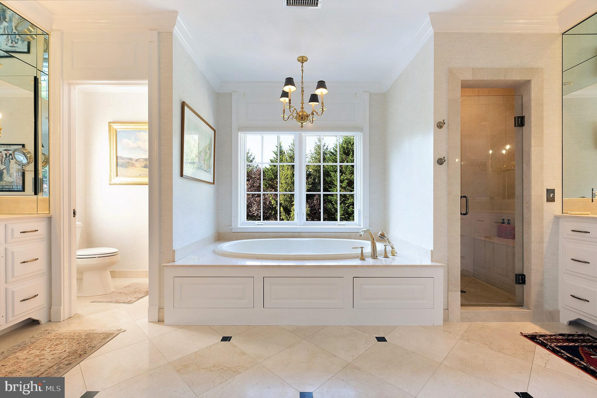 785 Harrison Road Villanova, PA 19085 - Photo 22 of 41 Master Suite - Sumptuous Bath