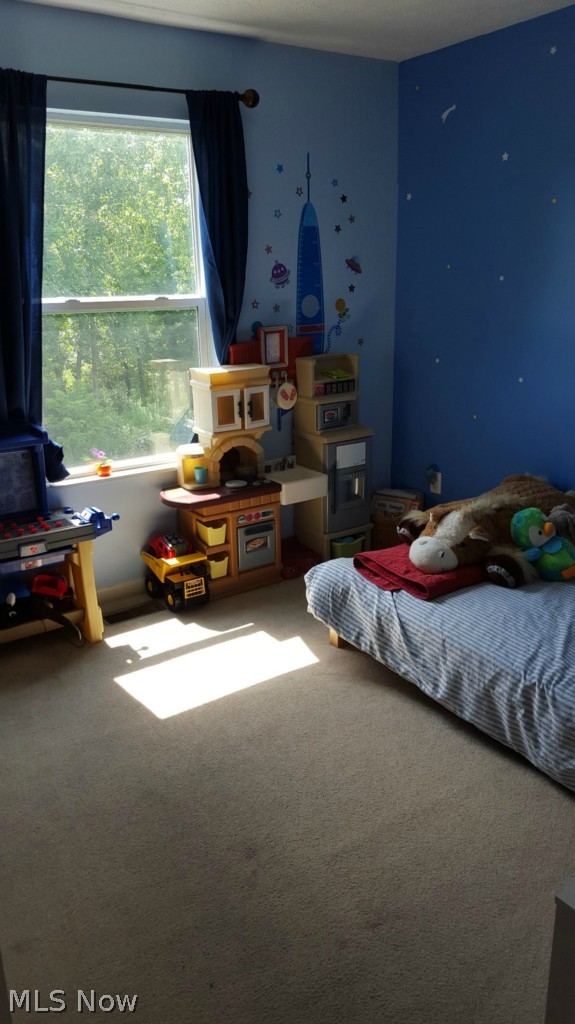 2332 Ravenna Road Kent, OH 44240 - Photo 10 of 25 2332 Ravenna Rd, Kent, OH 44240 The second bedroom is roomy and has plenty of natural light!