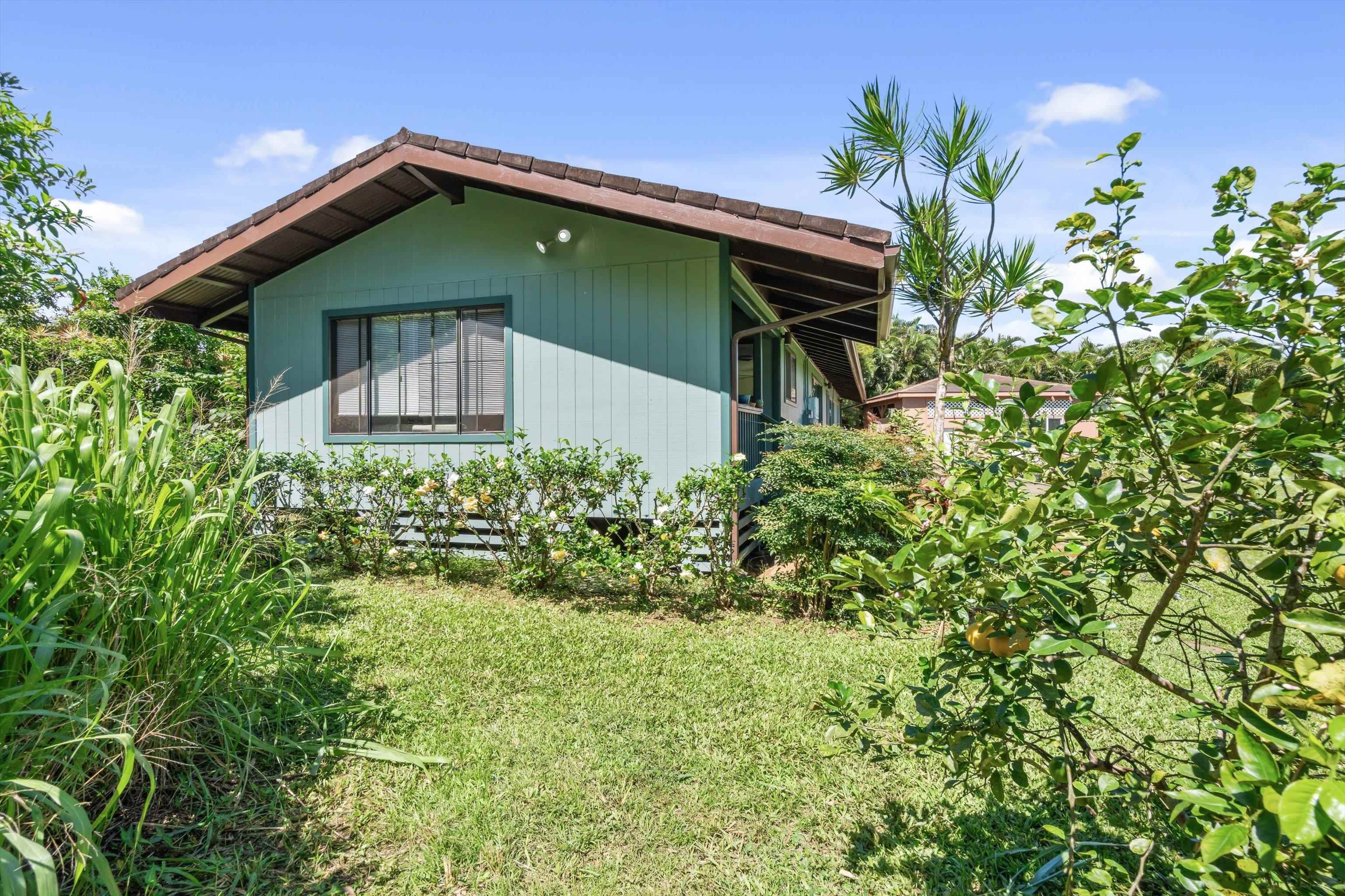145 South Holokai Road Haiku, HI 96708 - Photo 44 of 50 a front view of a house with a yard