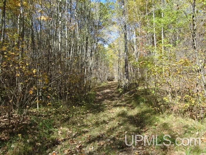Tbd Horseshoe Road Pembine, WI 54156 - Photo 5 of 7 Gallery Image 5