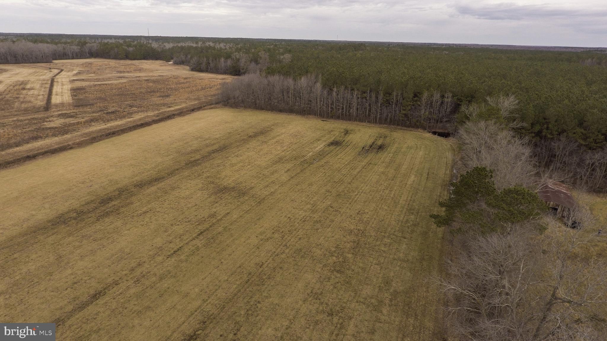 Morris Road Pittsville, MD 21850 - Photo 1 of 14 View