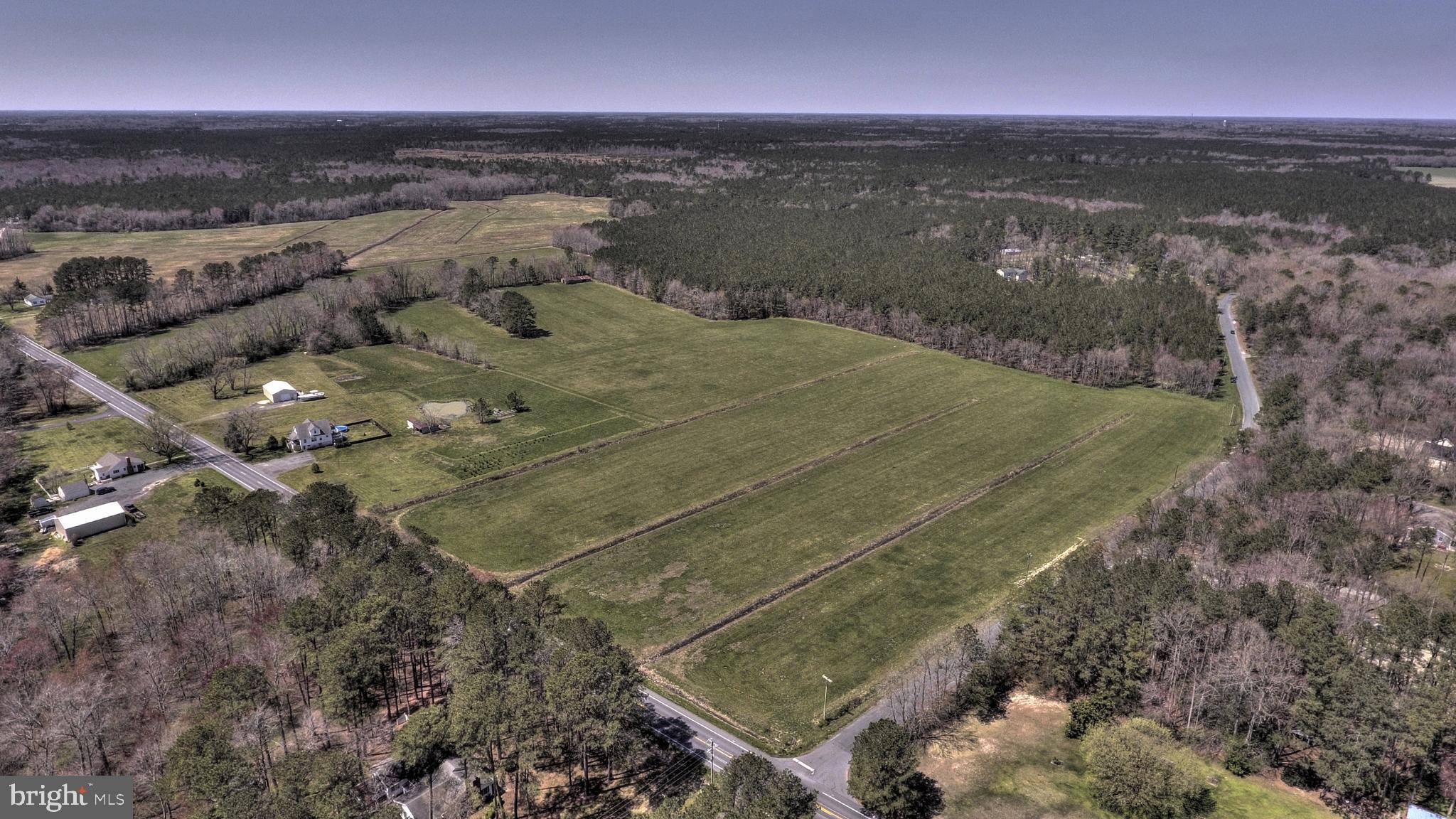 Morris Road Pittsville, MD 21850 - Photo 14 of 14 Gallery Image 14