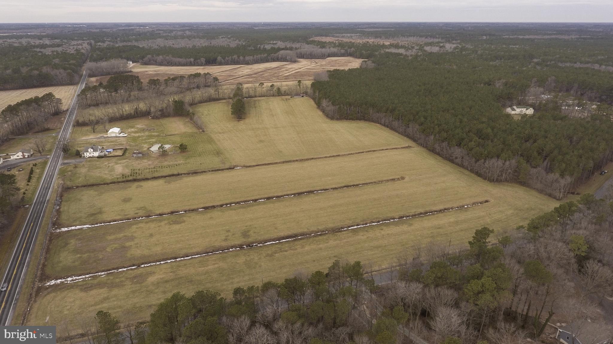 Morris Road Pittsville, MD 21850 - Photo 3 of 14 View