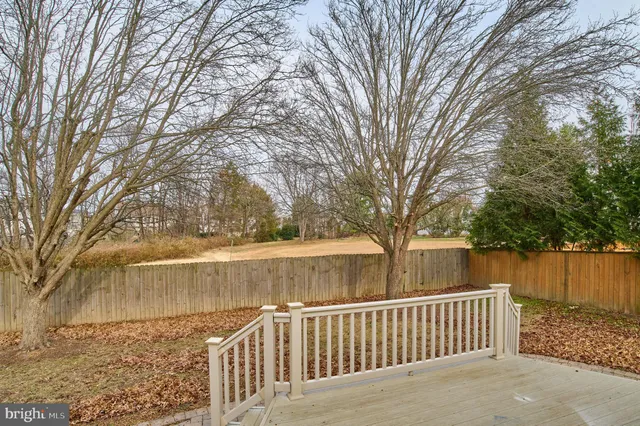a view of a backyard with large trees