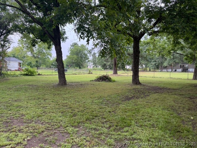 102 Little Street Rockingham, NC 28379 - Photo 27 of 29 a view of a yard with a tree