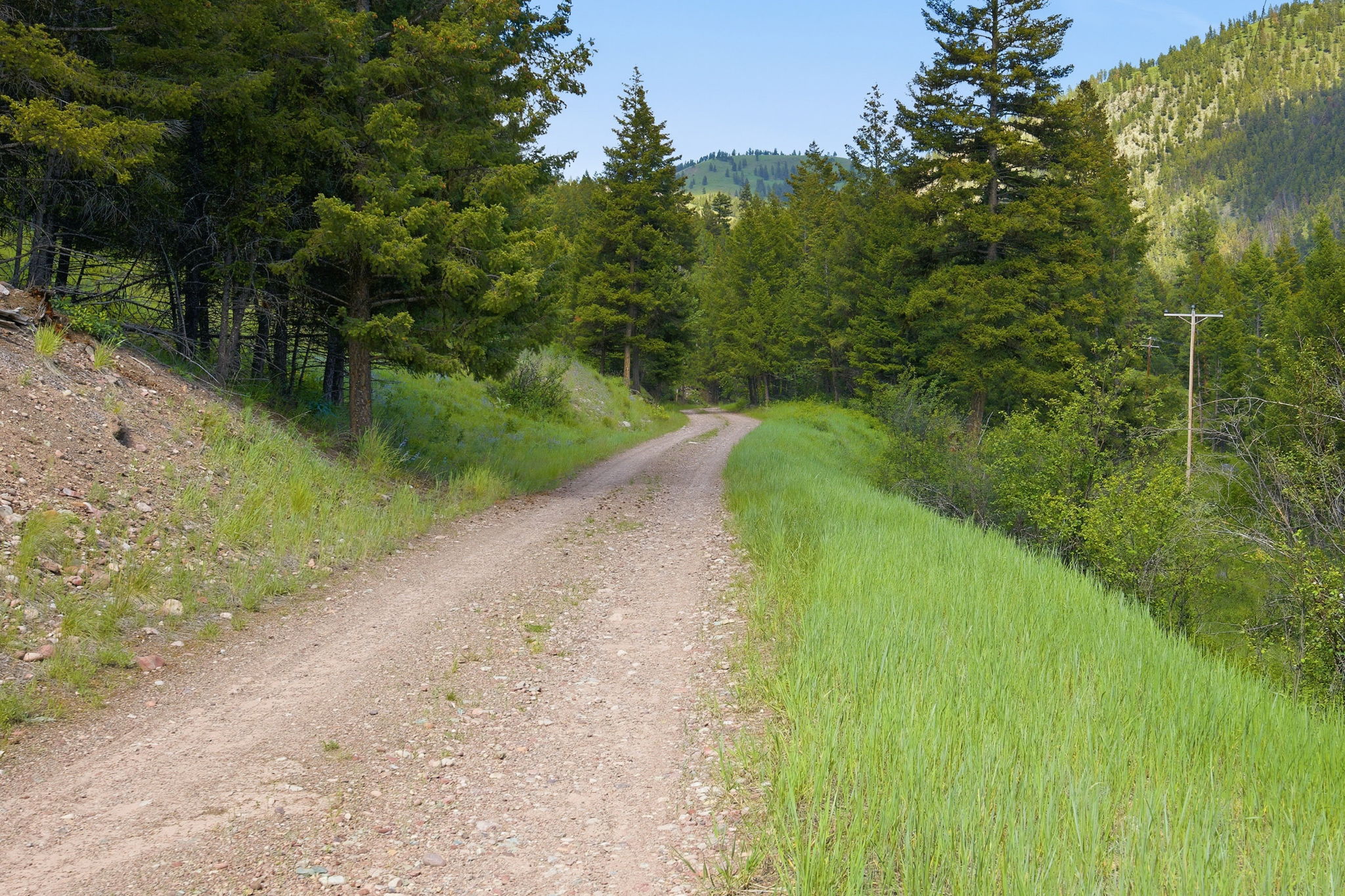 3 Big Waters Ranch Road Seeley Lake, MT 59868 - Photo 40 of 49 Gallery Image 40