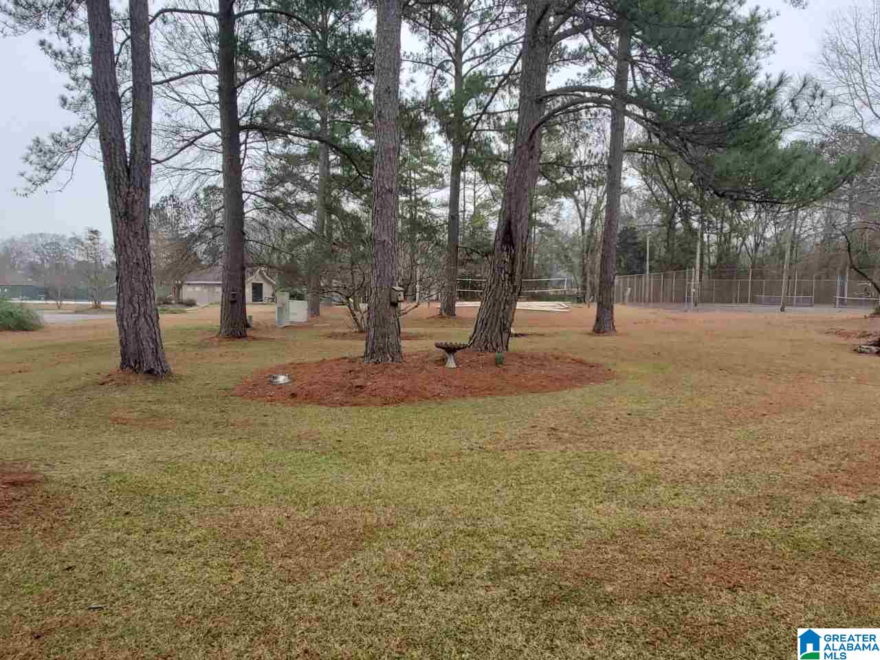 13 North Park Drive Alabaster, AL 35007 - Photo 4 of 19