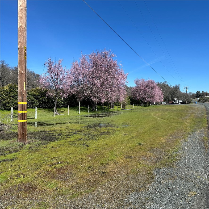 1335 Mountview Road Lakeport, CA 95453 - Photo 36 of 54 a view of a park with a tree