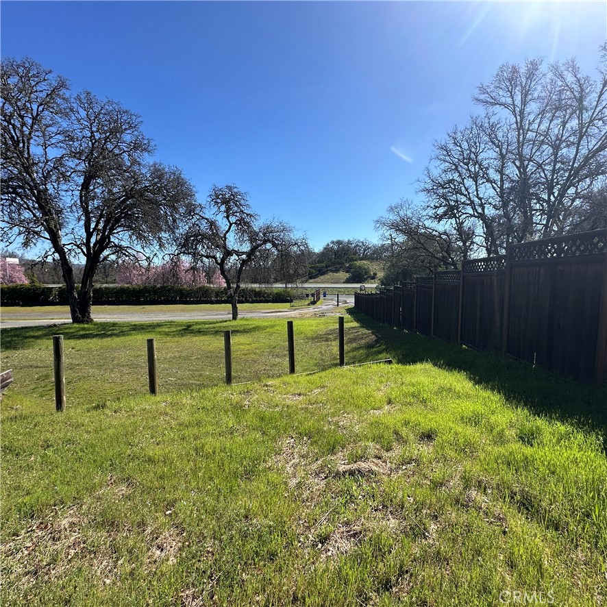 1335 Mountview Road Lakeport, CA 95453 - Photo 42 of 54 a view of a park with large trees