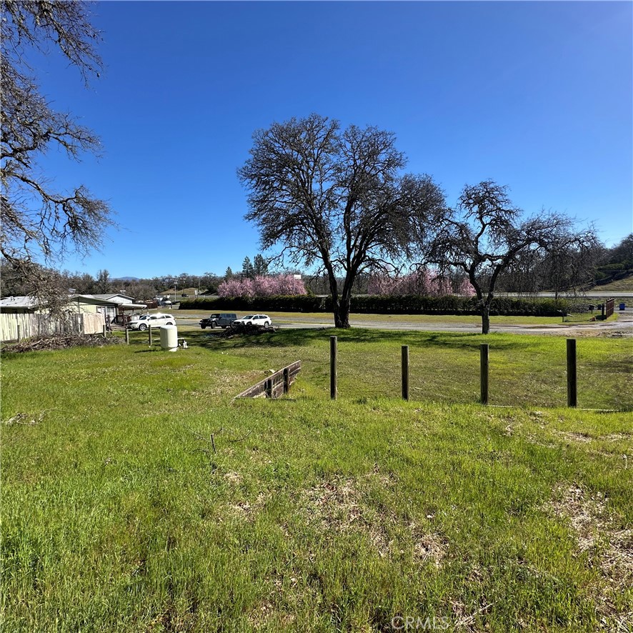 1335 Mountview Road Lakeport, CA 95453 - Photo 51 of 54 a view of a park with large trees