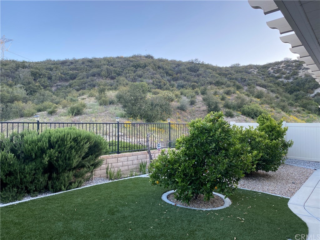 1563 Savannah Creek Beaumont, CA 92223 - Photo 3 of 28 a view of a back yard
