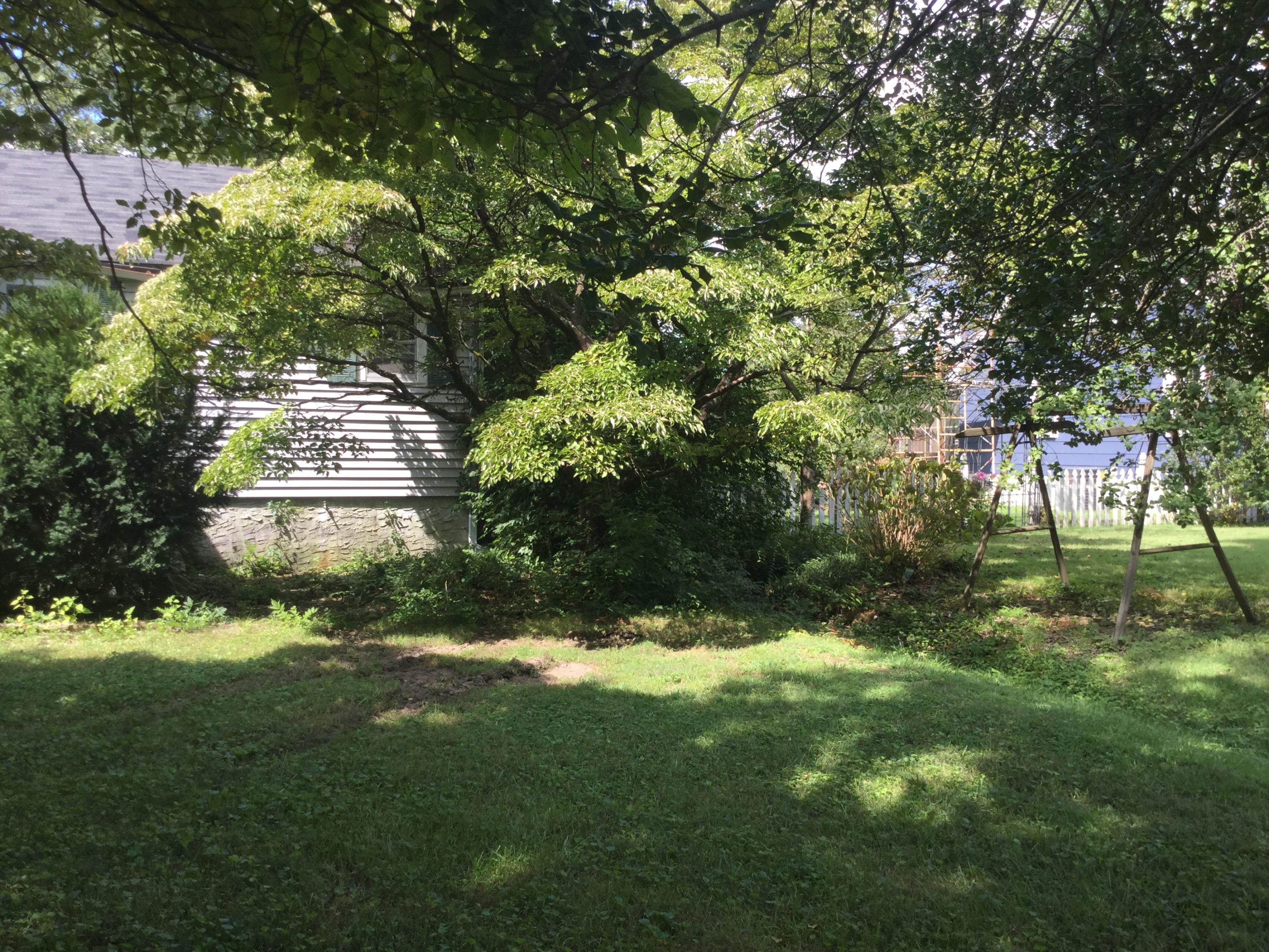 228 Washington Road Rossville, GA 30741 - Photo 6 of 21 IMG_2666