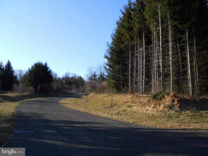 Lot 8 Evergreen Road Riegelsville, PA 18077 - Photo 1 of 9