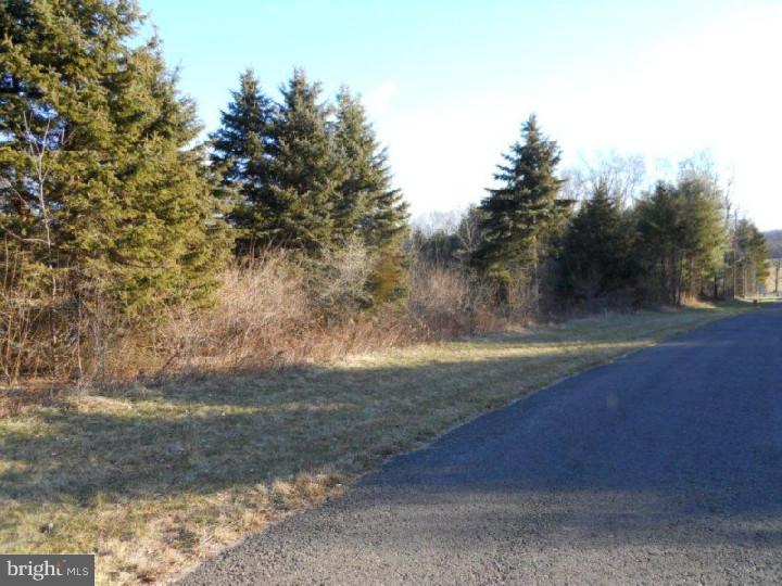 Lot 8 Evergreen Road Riegelsville, PA 18077 - Photo 6 of 9